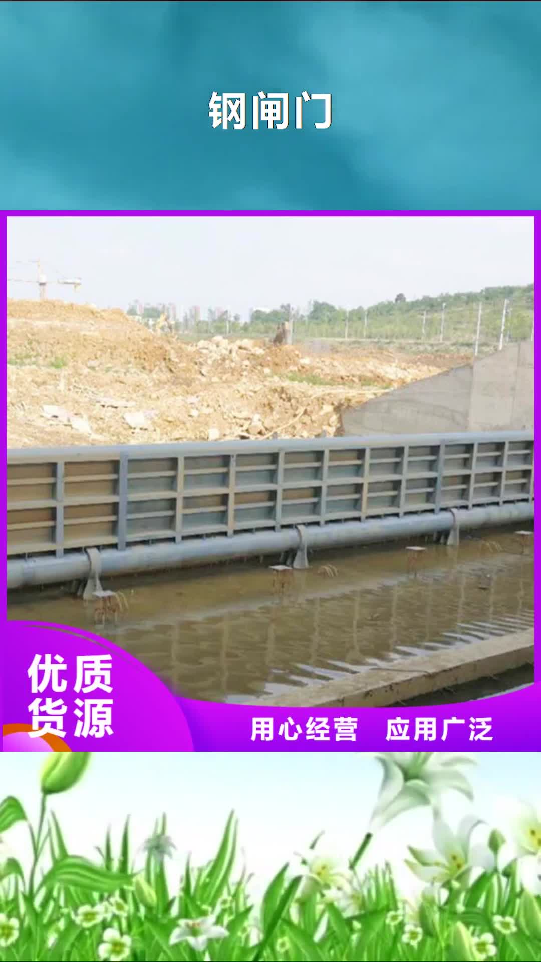毕节 钢闸门【固定卷扬式启闭机】大厂生产品质