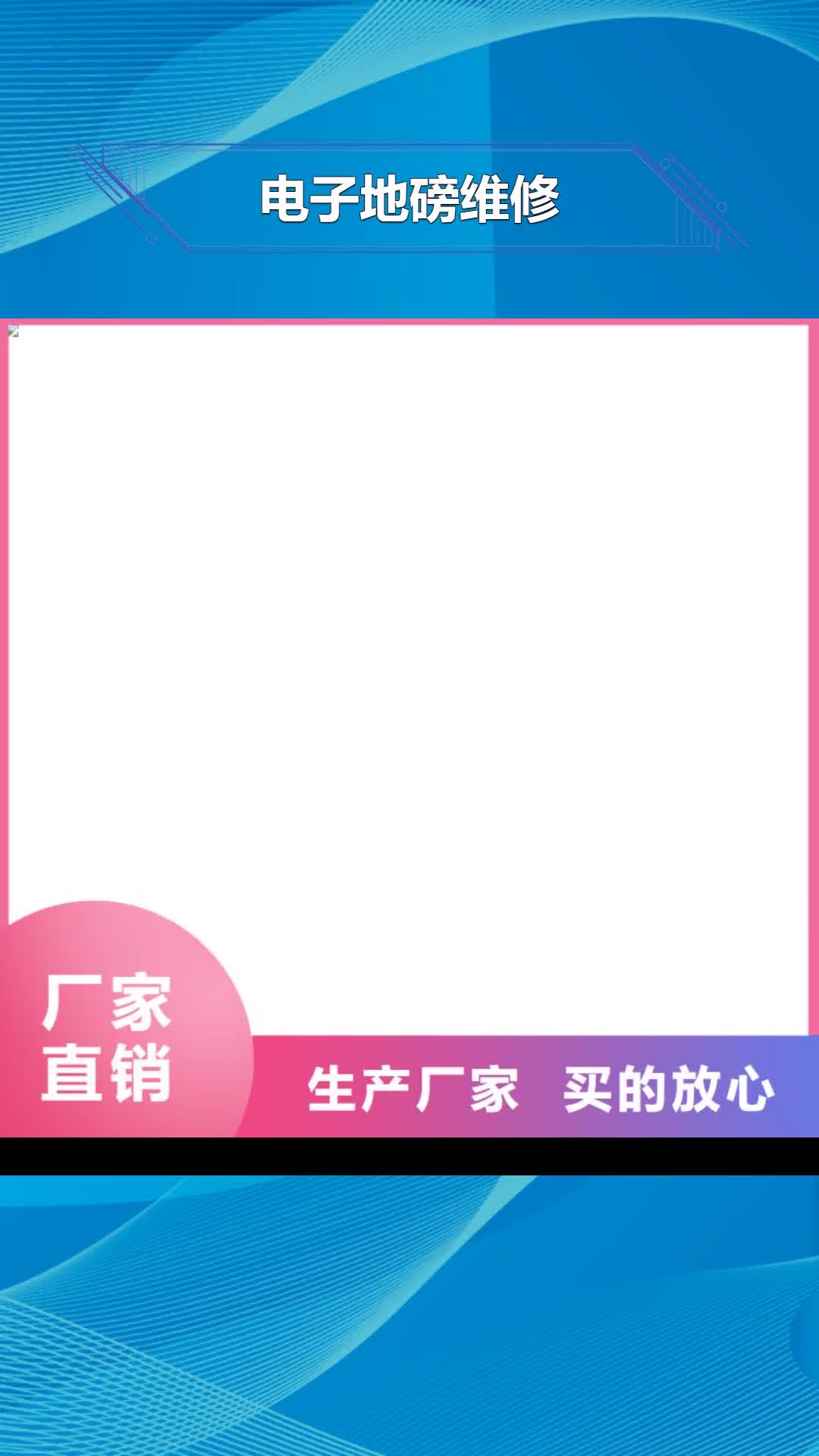 阜阳 电子地磅维修厂家直销规格多样