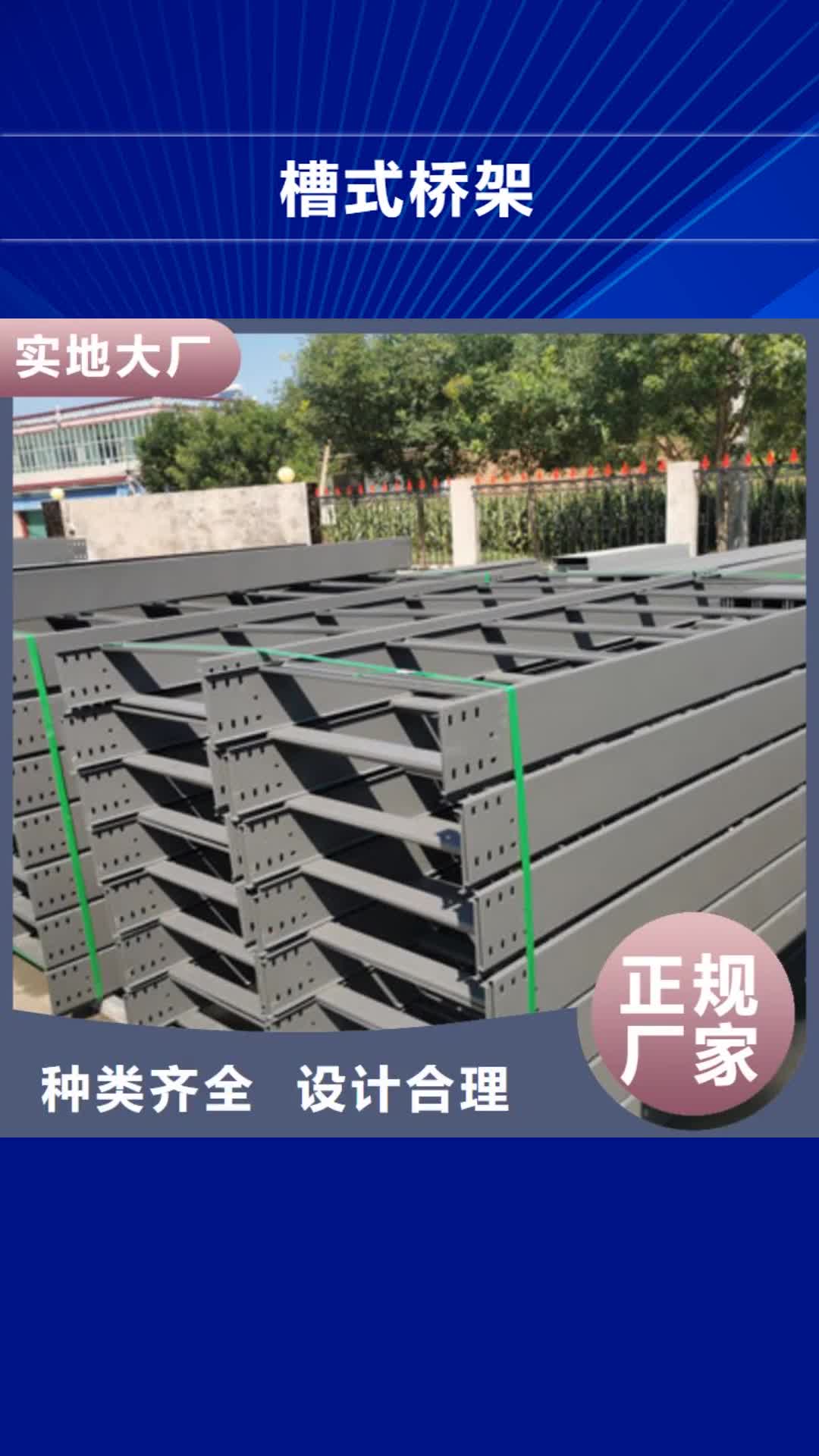【惠州槽式桥架_托盘式桥架厂家经验丰富质量放心】