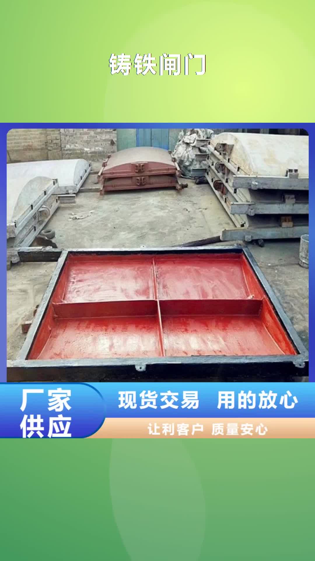 【文山铸铁闸门 机闸一体式闸门选择我们没错】