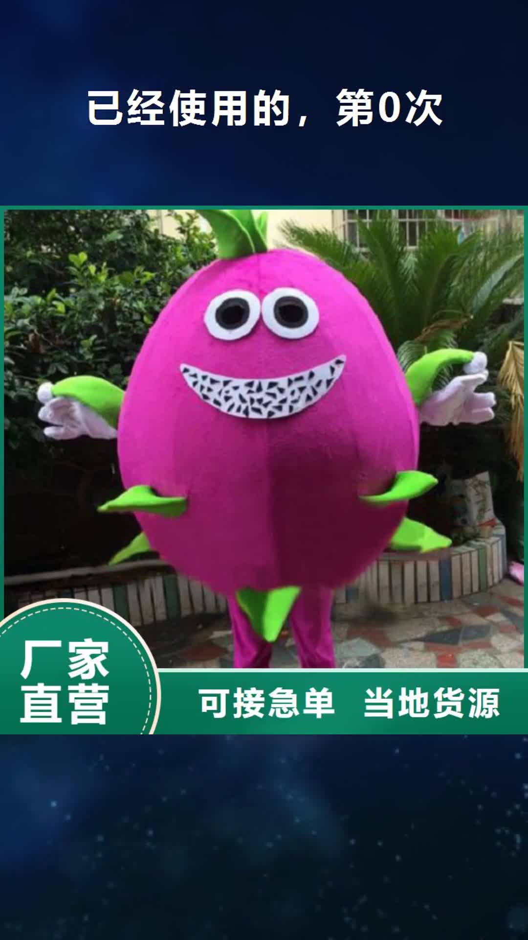 湘潭已经使用的，第0次 【卡通人偶服装】真正的源头厂家