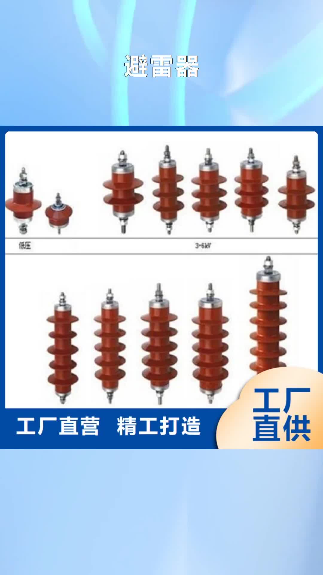 遵义避雷器高压负荷开关实力才是硬道理