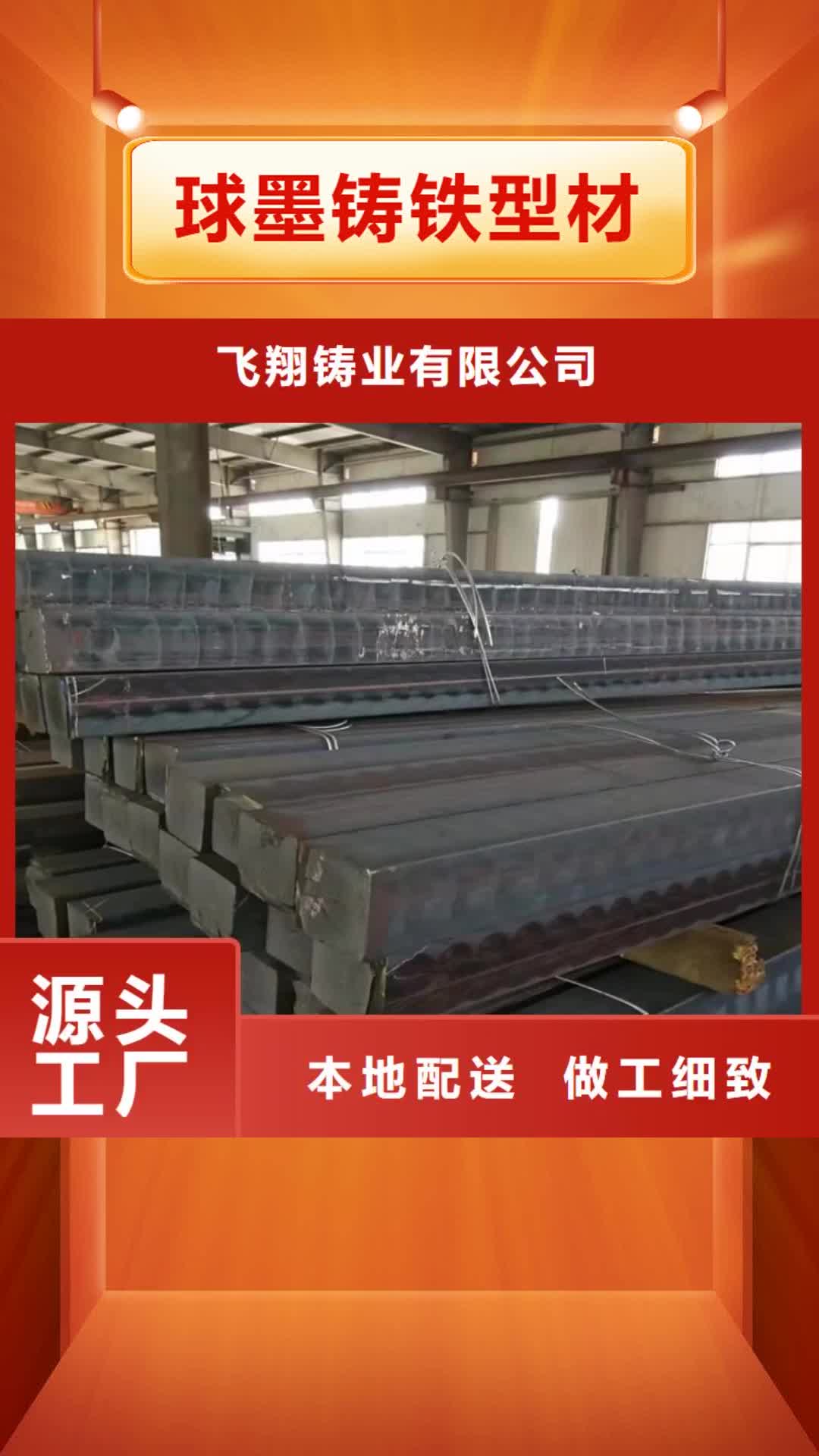 朝阳球墨铸铁型材-【球墨铸铁棒】匠心制造