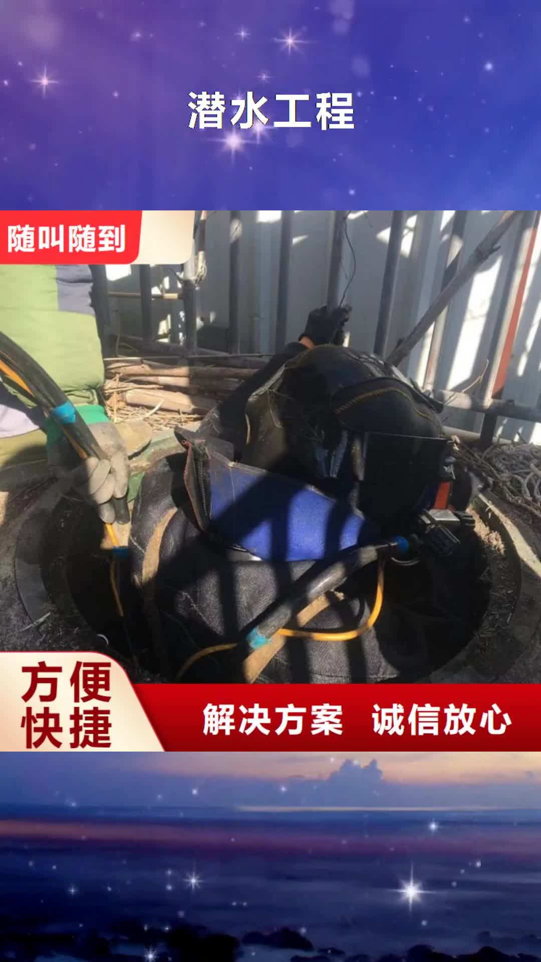 【上海潜水工程 水下设施建设专业可靠】
