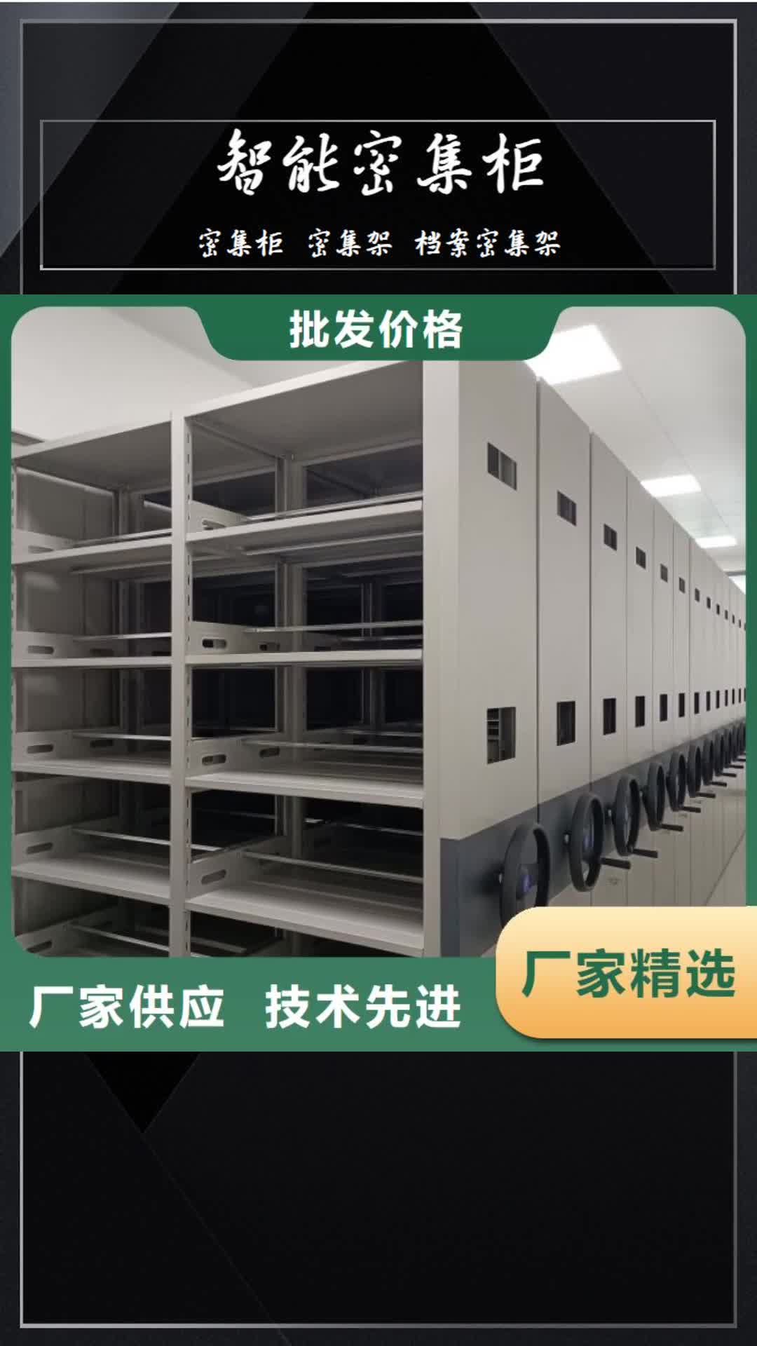 鞍山 智能密集柜-【电动密集柜】诚信经营质量保证