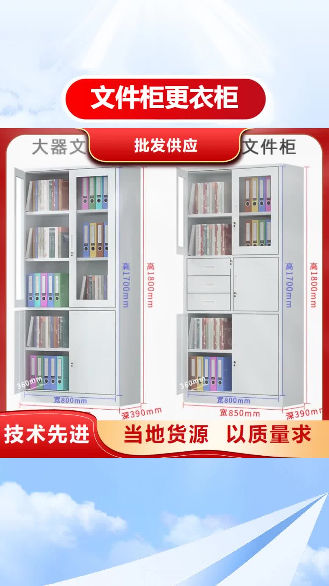 济宁 文件柜更衣柜-【货架生产厂家】专心专注专业