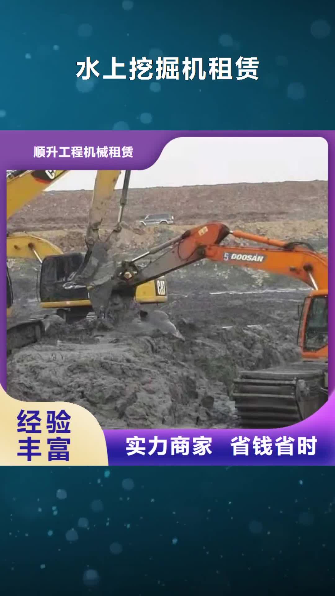 【盘锦水上挖掘机租赁-租赁水陆挖机2024专业的团队】