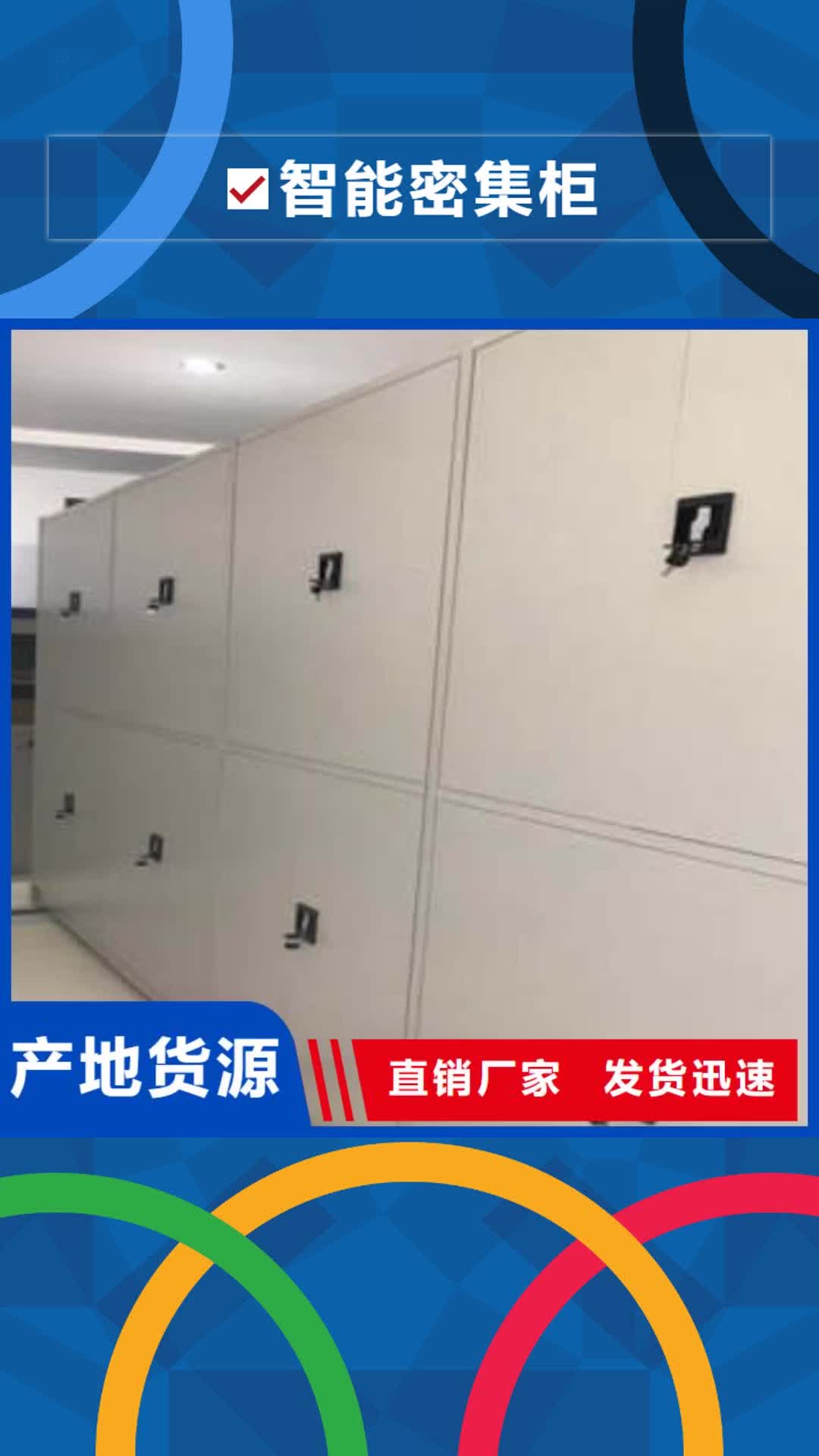 德州 智能密集柜,【会计密集架】直销厂家