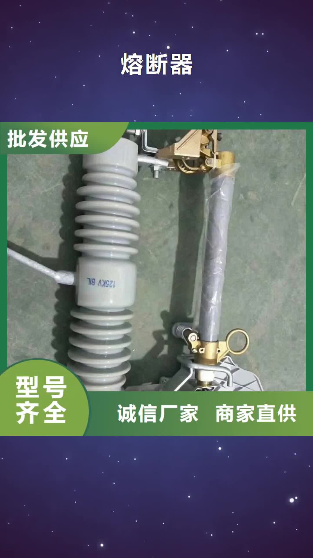 【大同 熔断器,绝缘子质量牢靠】