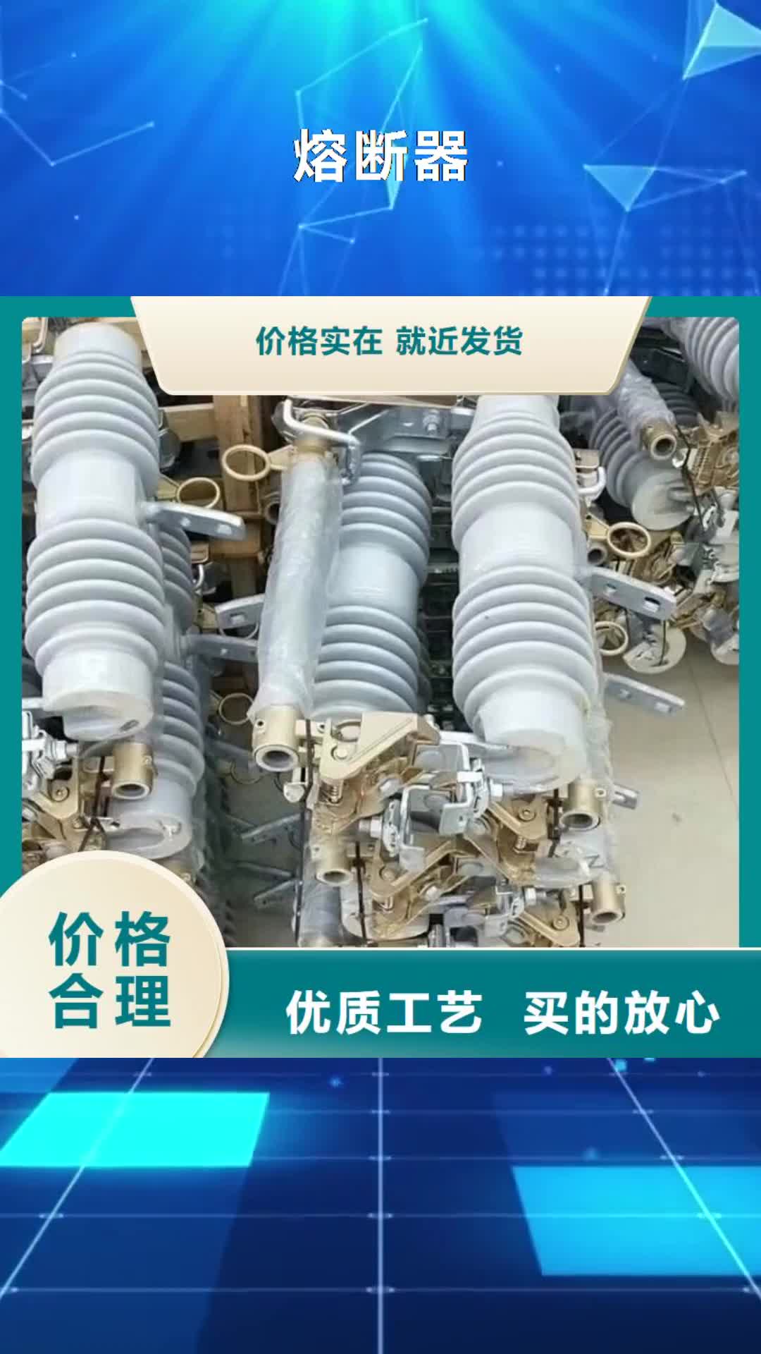 马鞍山【熔断器】_绝缘子服务至上