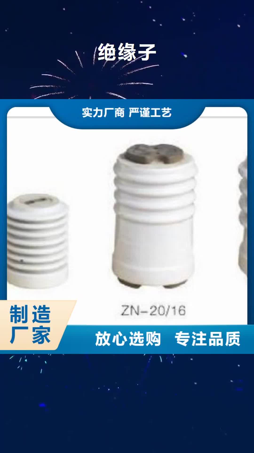迪庆【绝缘子】-氧化锌避雷器一件也发货