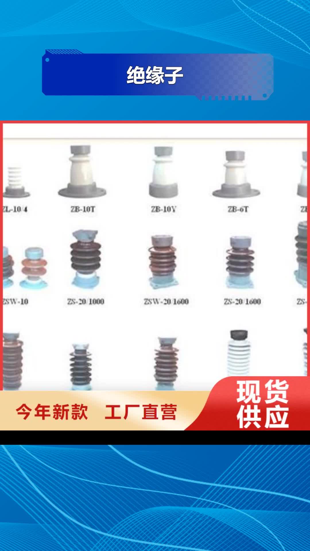 四川【绝缘子】_固定金具专业完善售后