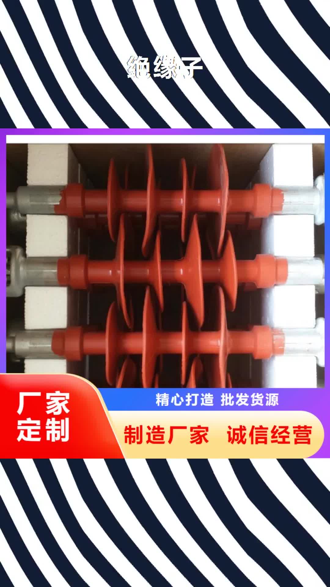 天水【绝缘子】-穿墙套管产品优势特点