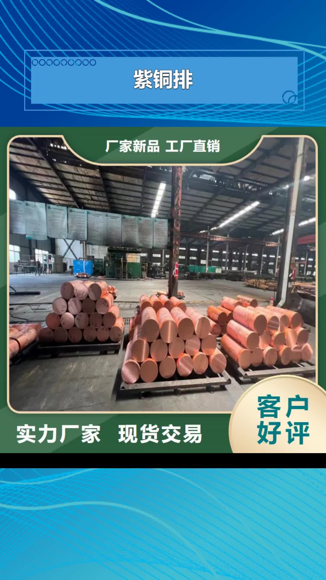 【果洛 紫铜排专心专注专业】