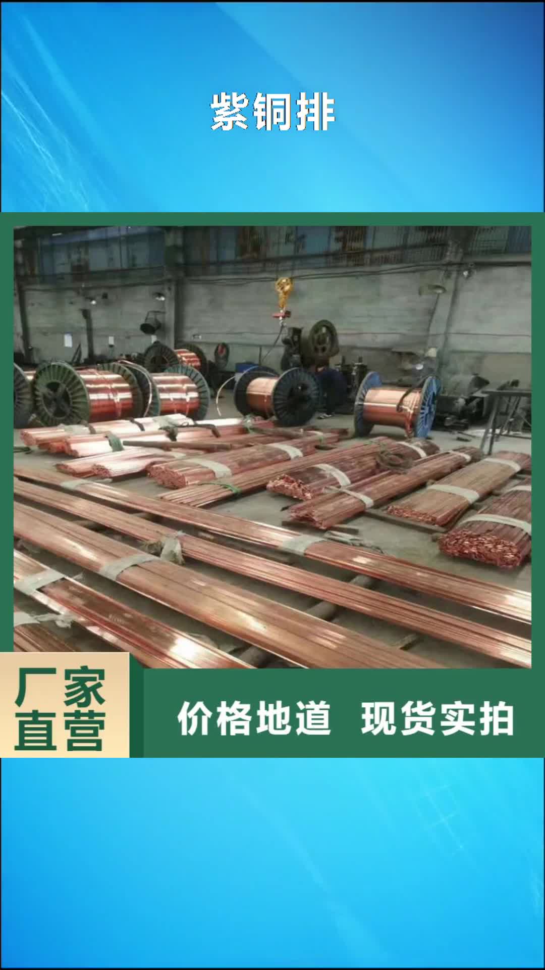 保山【紫铜排】-铜绞线订制批发